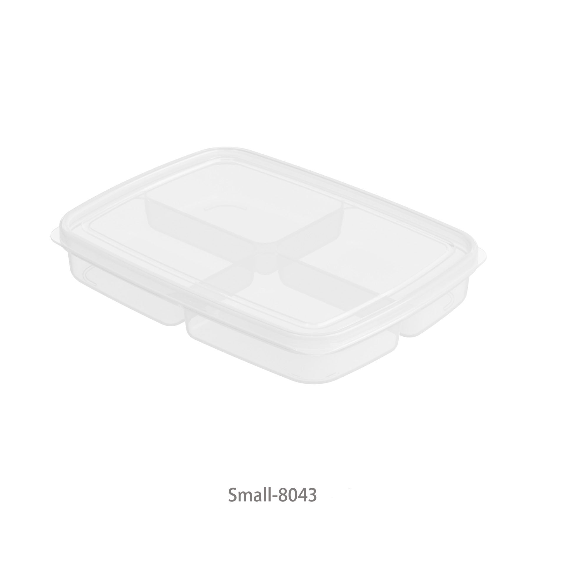 FOOD SAFE COMPARTMENT BOX TRANSPARENT