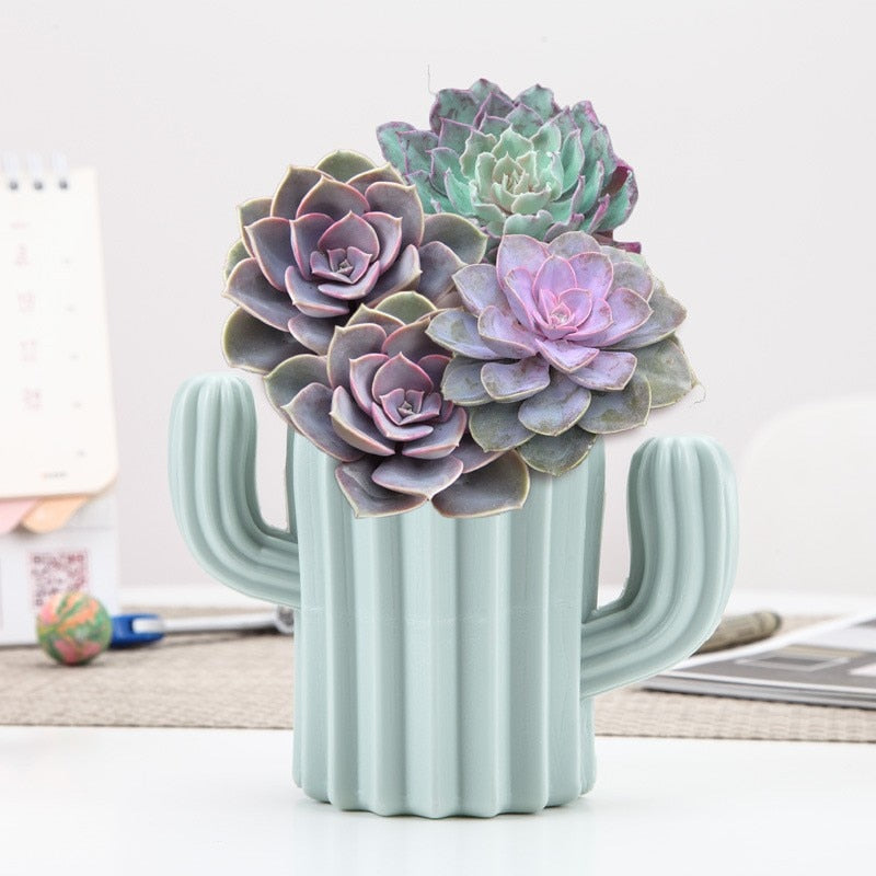 Desktop Cactus Can Be Used As a Vase or Pen Holder