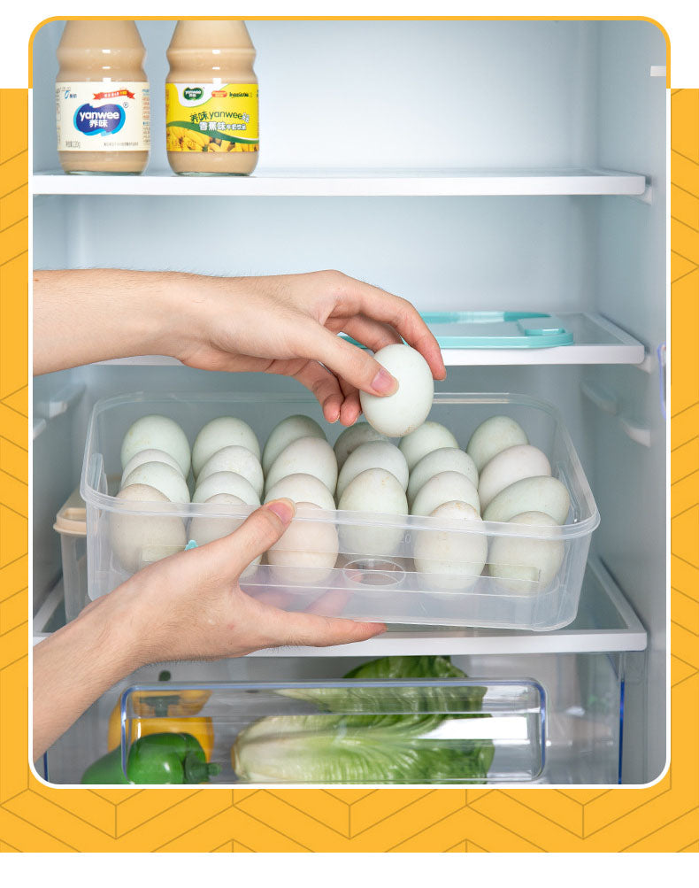 Egg Storage Box Plastic Rack