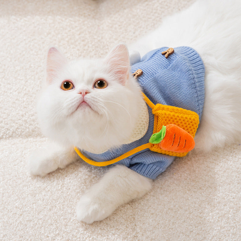 Cute Cat Clothes Hair proof Autumn Sweater