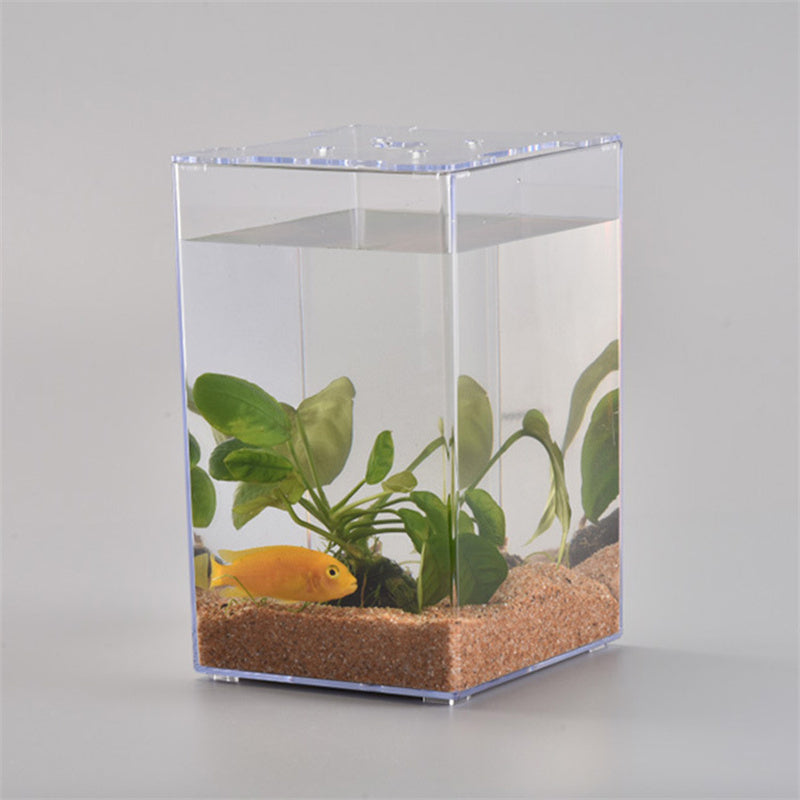 Desktop Creative Fish Tank Acrylic Transparent