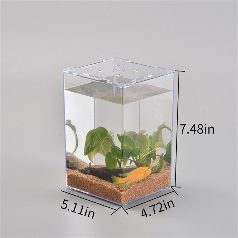 Desktop Creative Fish Tank Acrylic Transparent